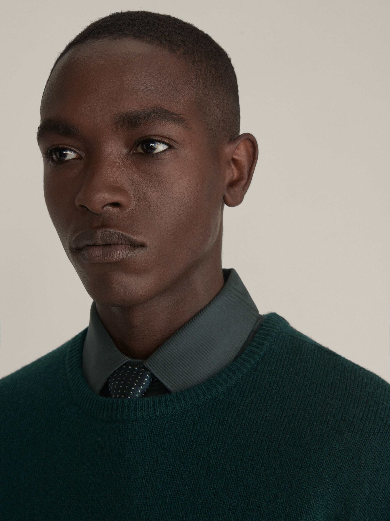 Nickol Pullover in Seaweed Green from Tiger of Sweden Nickol Pullover in Seaweed Green from Tiger of Sweden