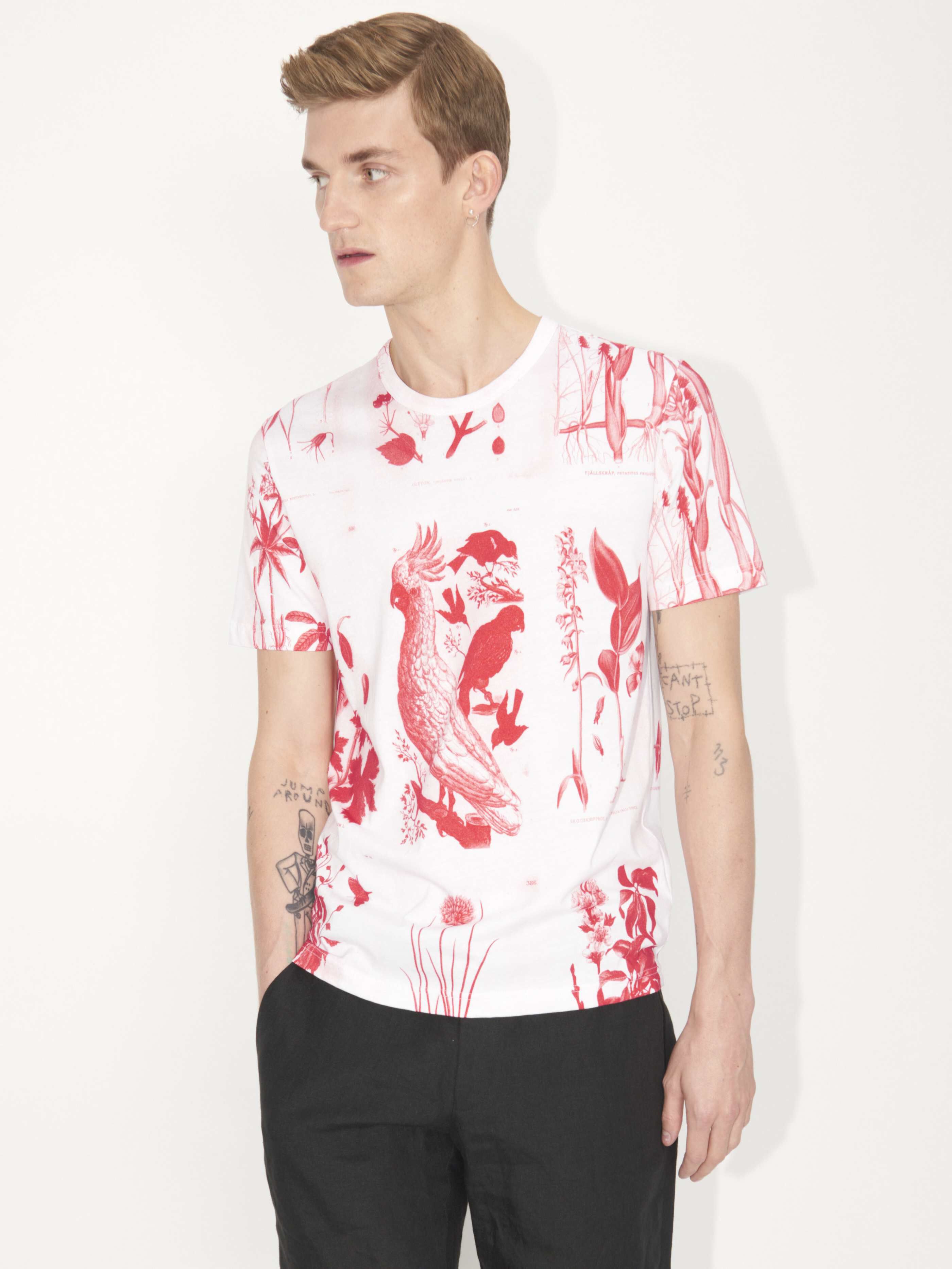 Tiger of sweden shirts price