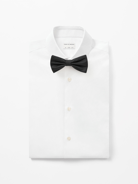 Nœud Papillon Soie Boaz