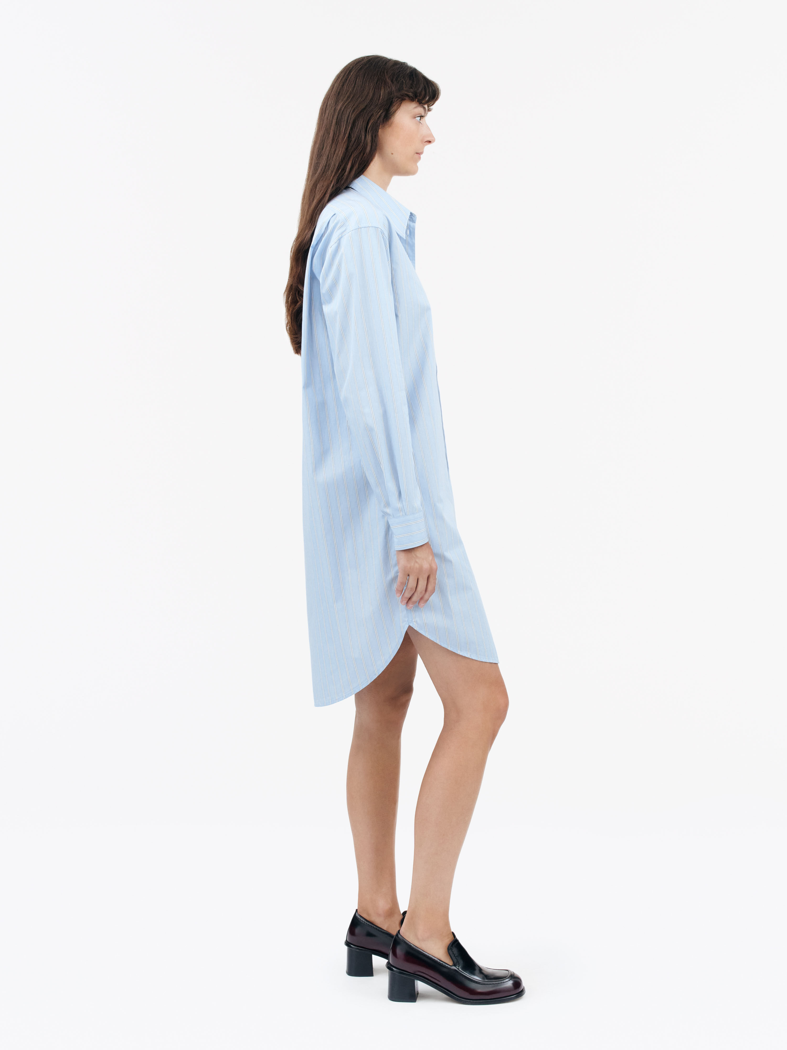 Silvie Pinstriped Dress