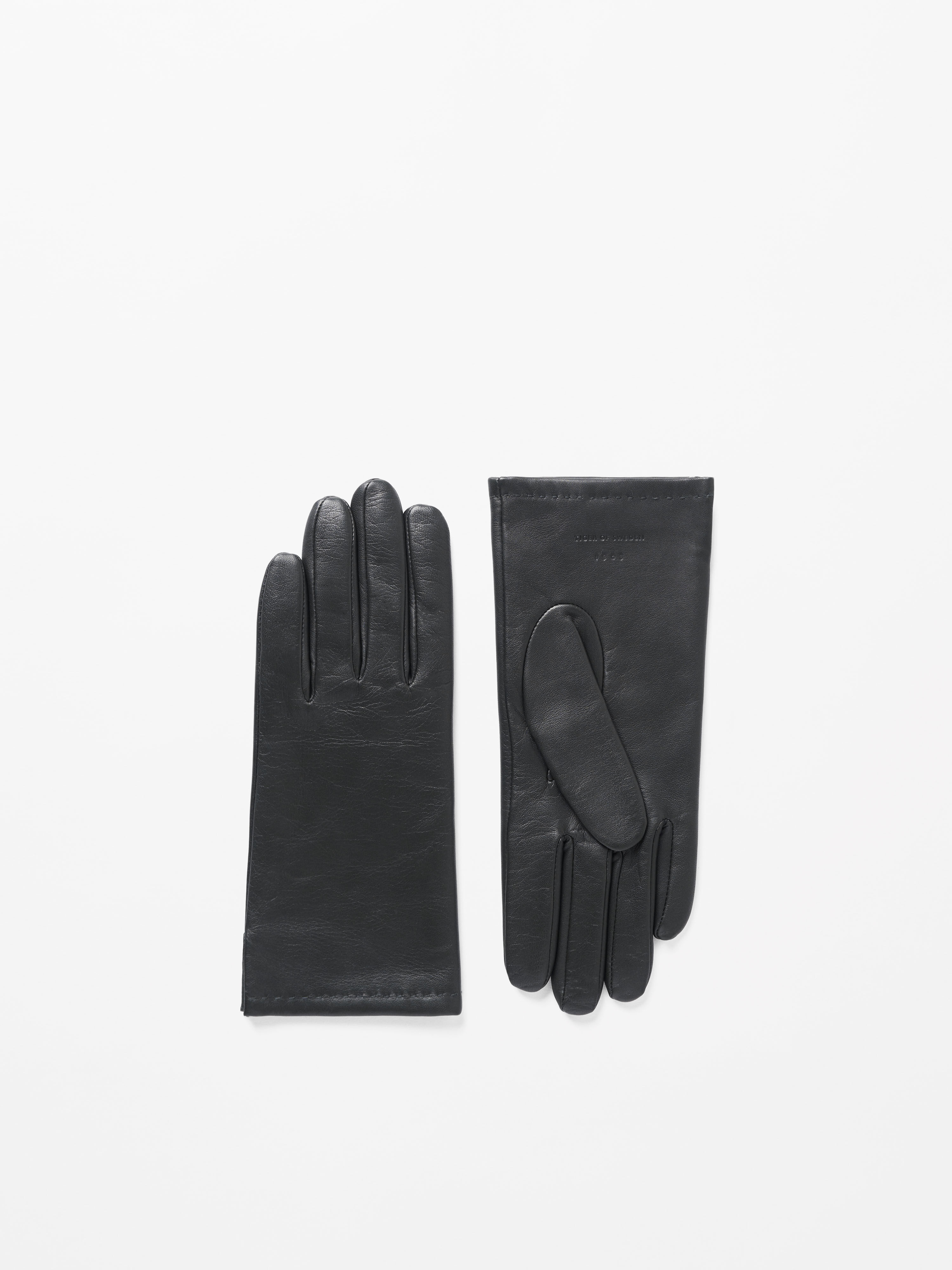 Lianni Glove
