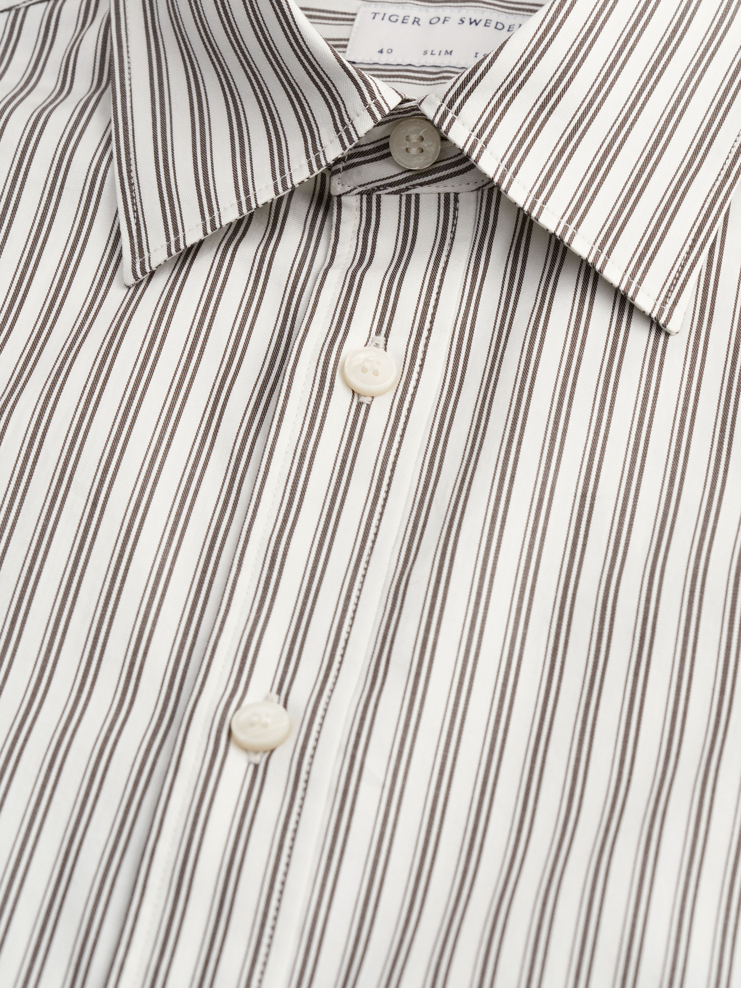 Lowan Shirt