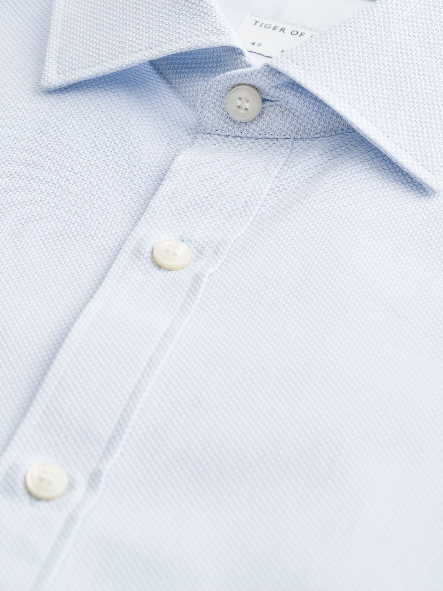 Adley C Cutaway Collar Shirt