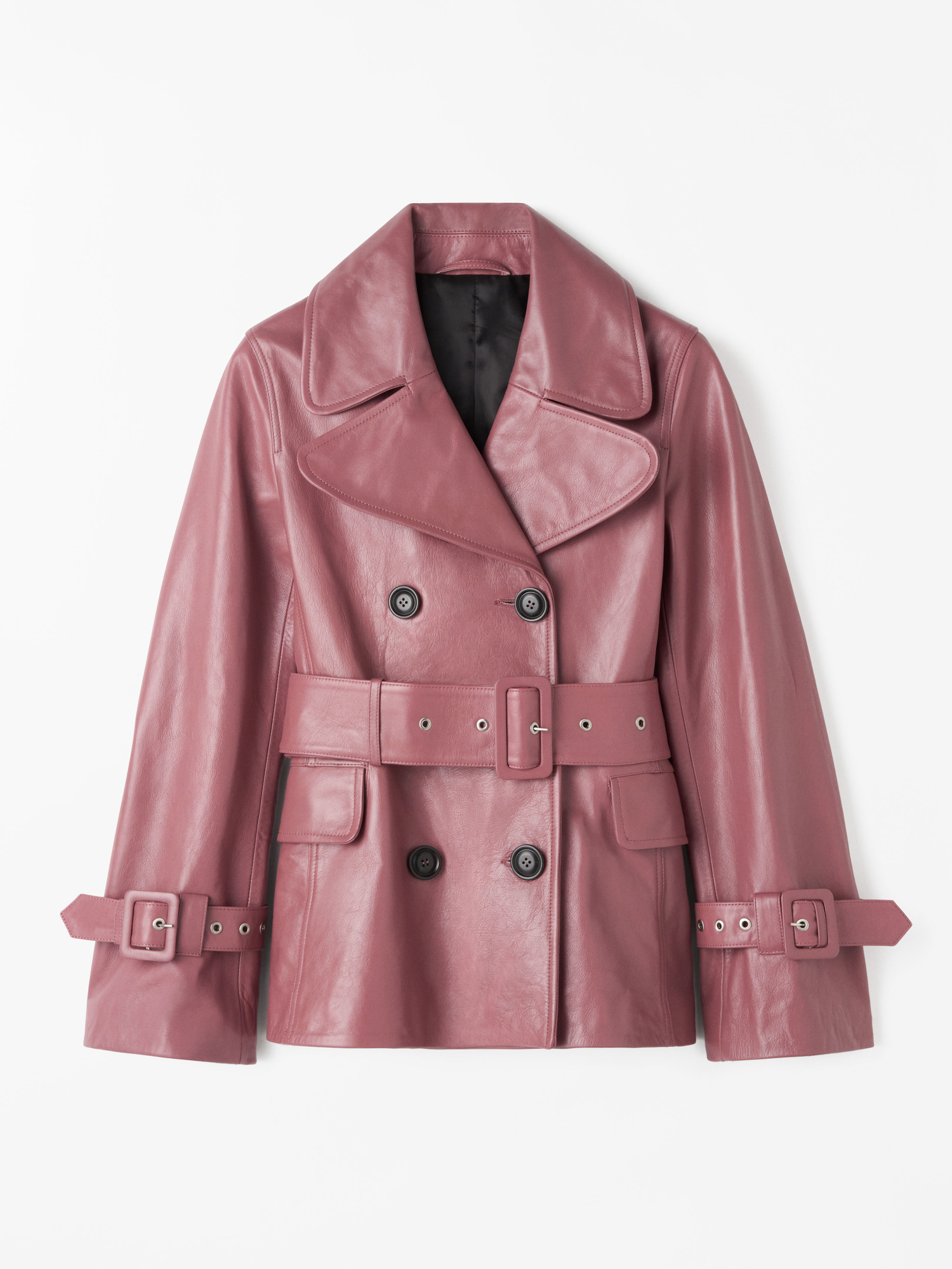 Blouson en cuir Fortney