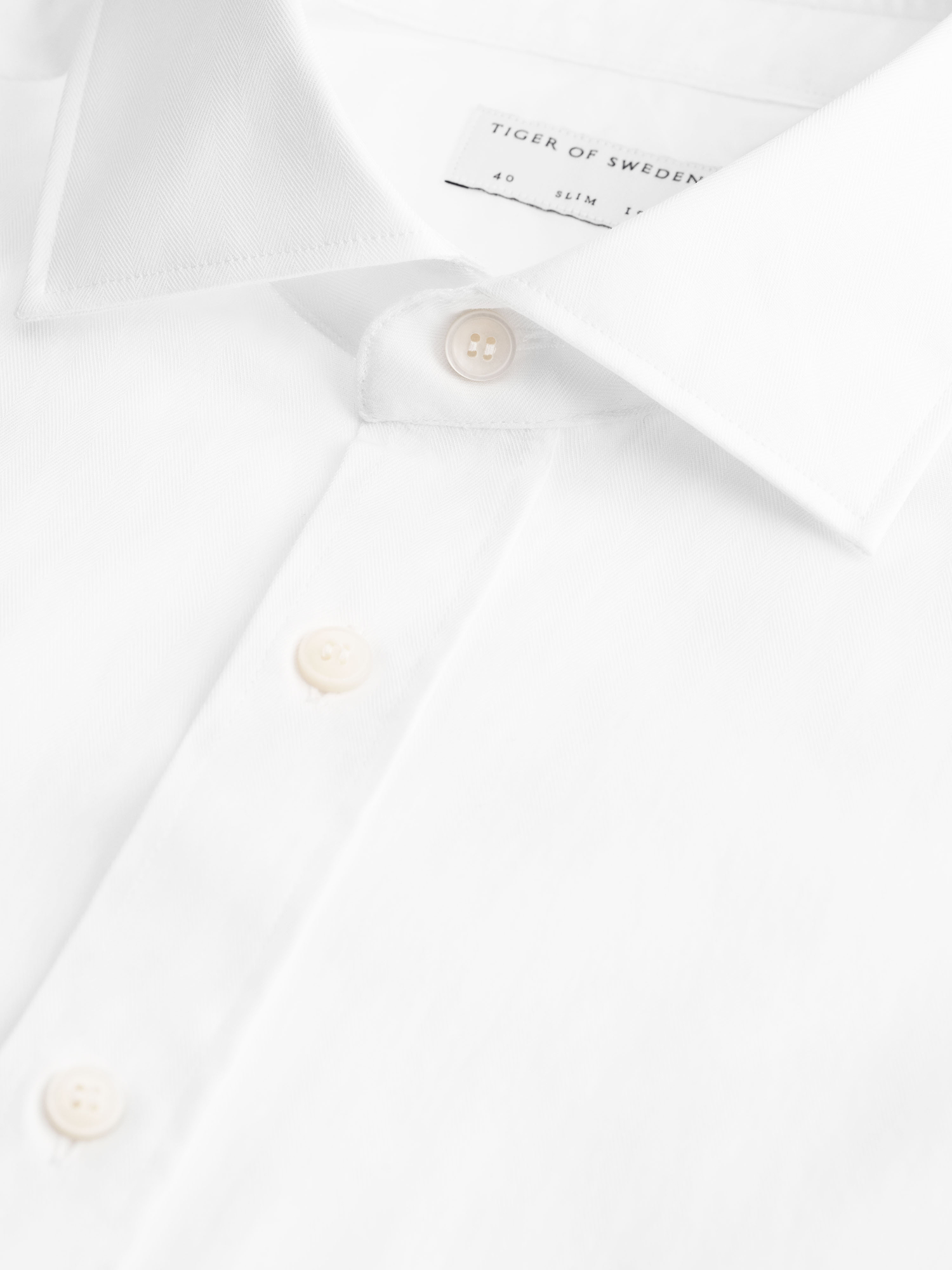 Adley C cutaway collar Shirt