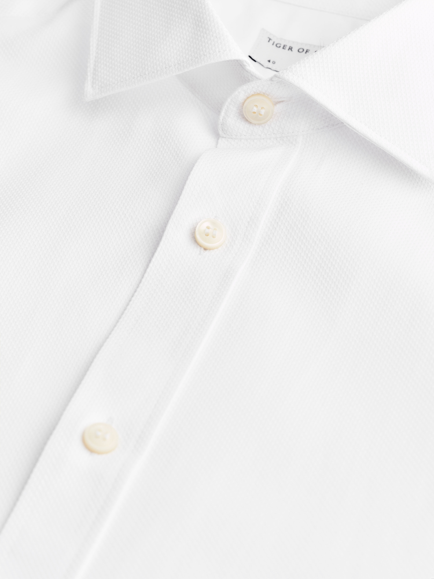 Adley C Cutaway Collar Shirt