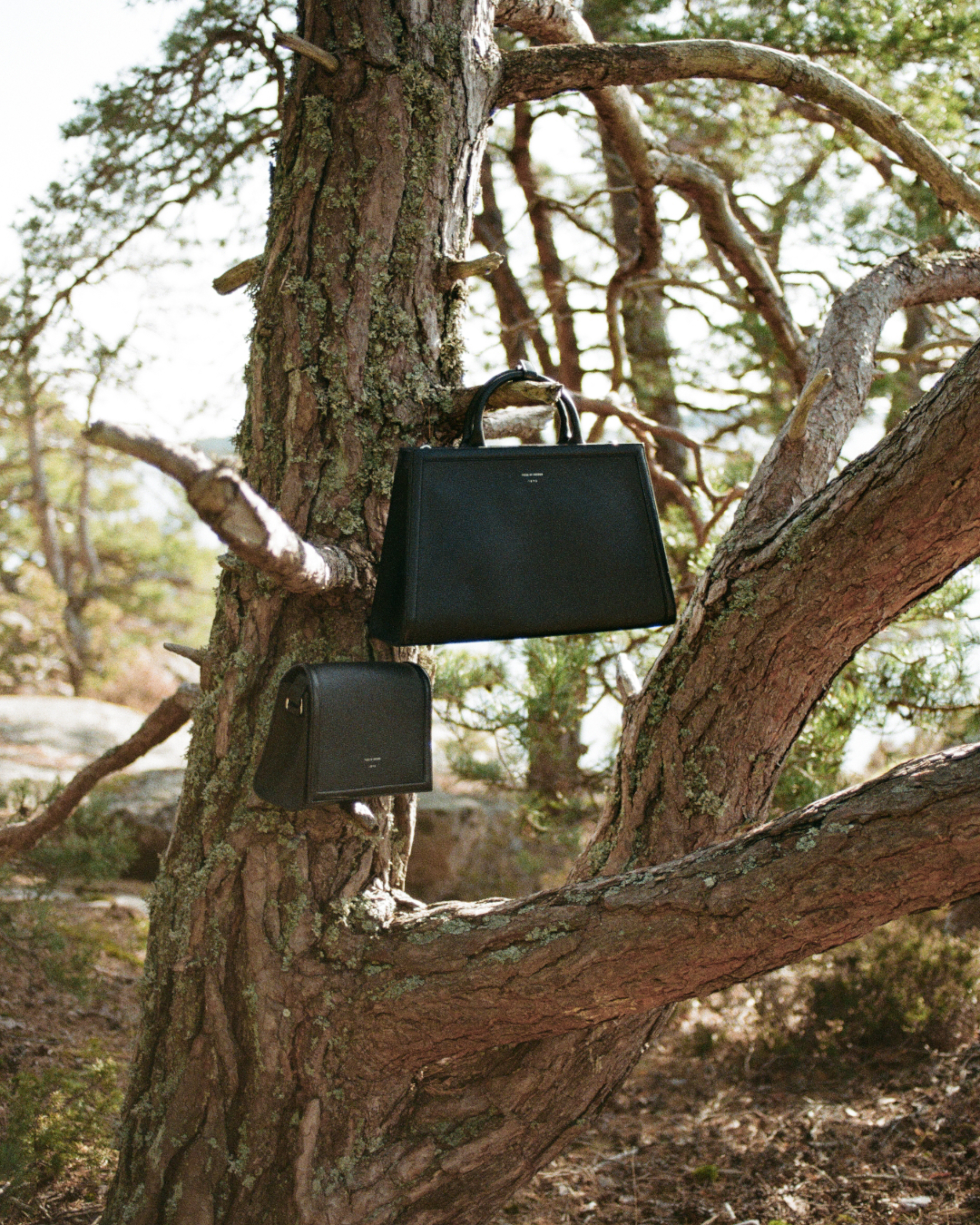 two black handbags hanging in a tree