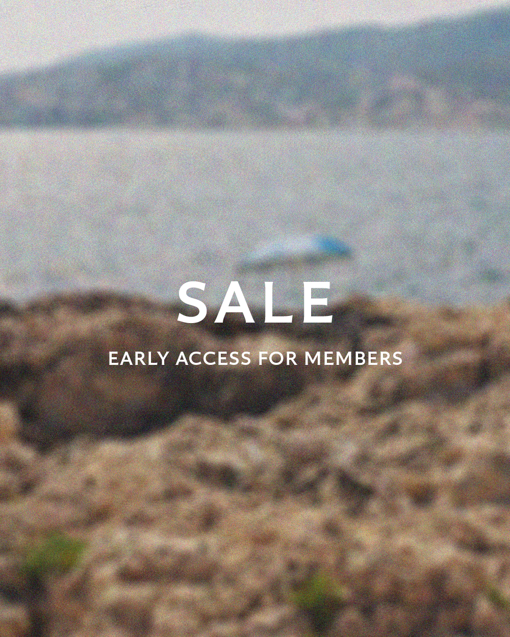 summer sale early access 40% off
