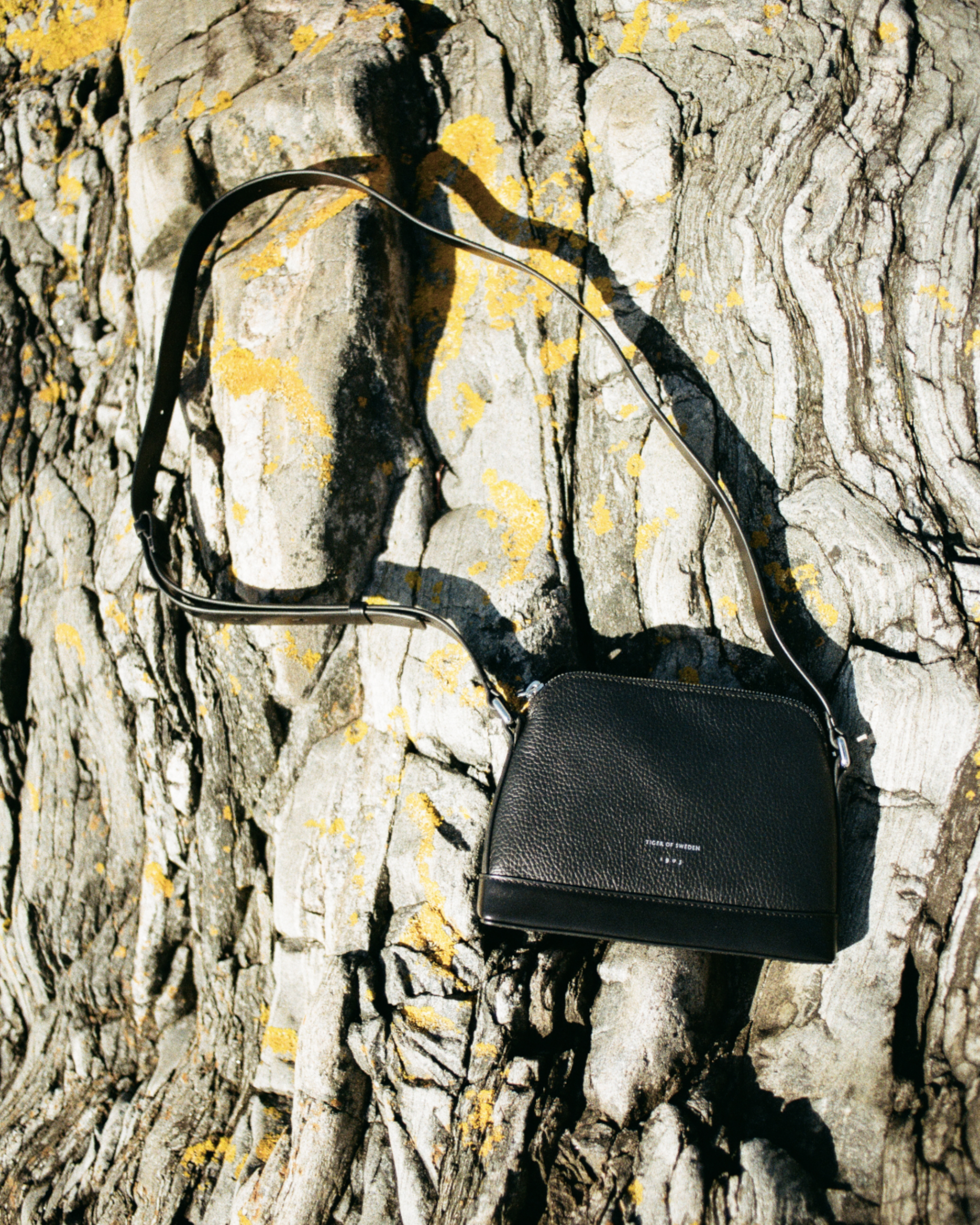 little black handbag