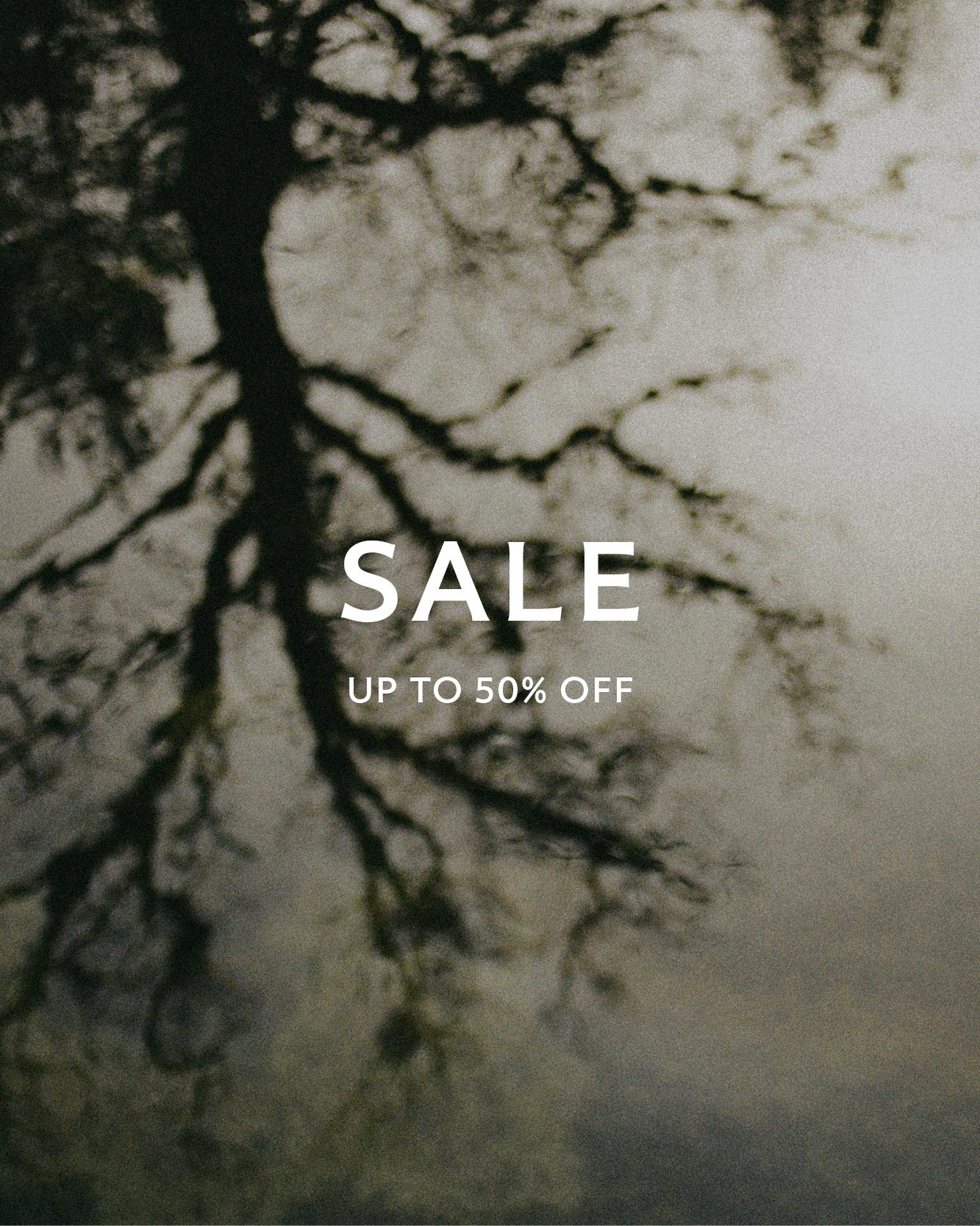 Winter Sale - Early Access