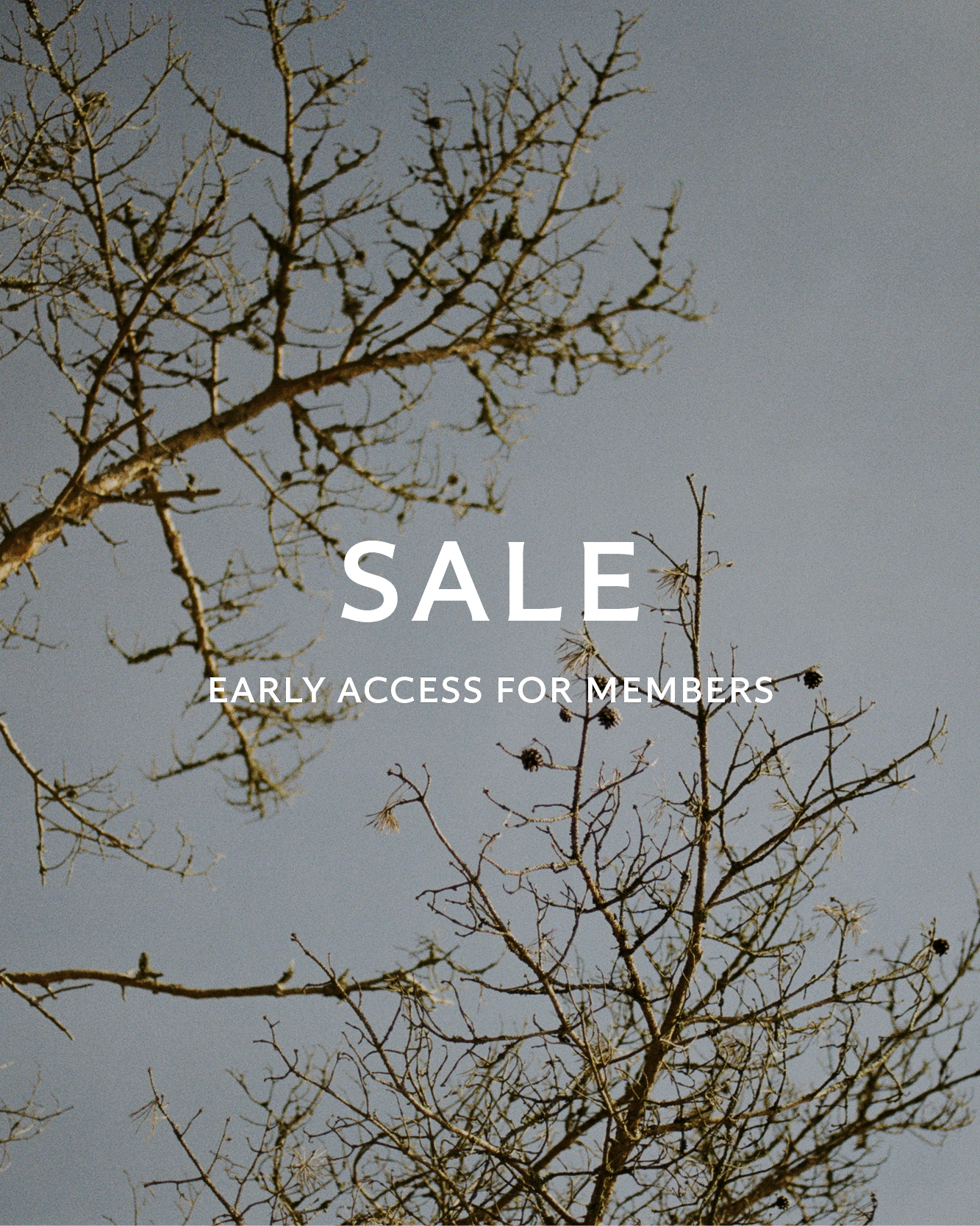 Winter Sale - Early Access