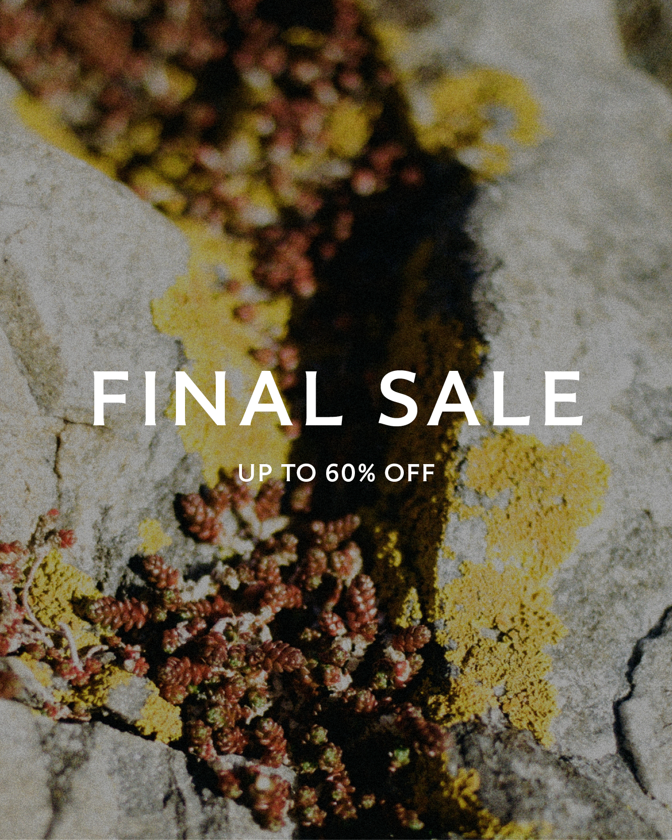 Further Reductions - Up to 60%