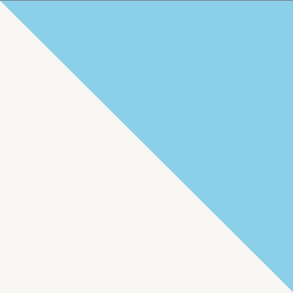 Camilla Classic Printed Blouse