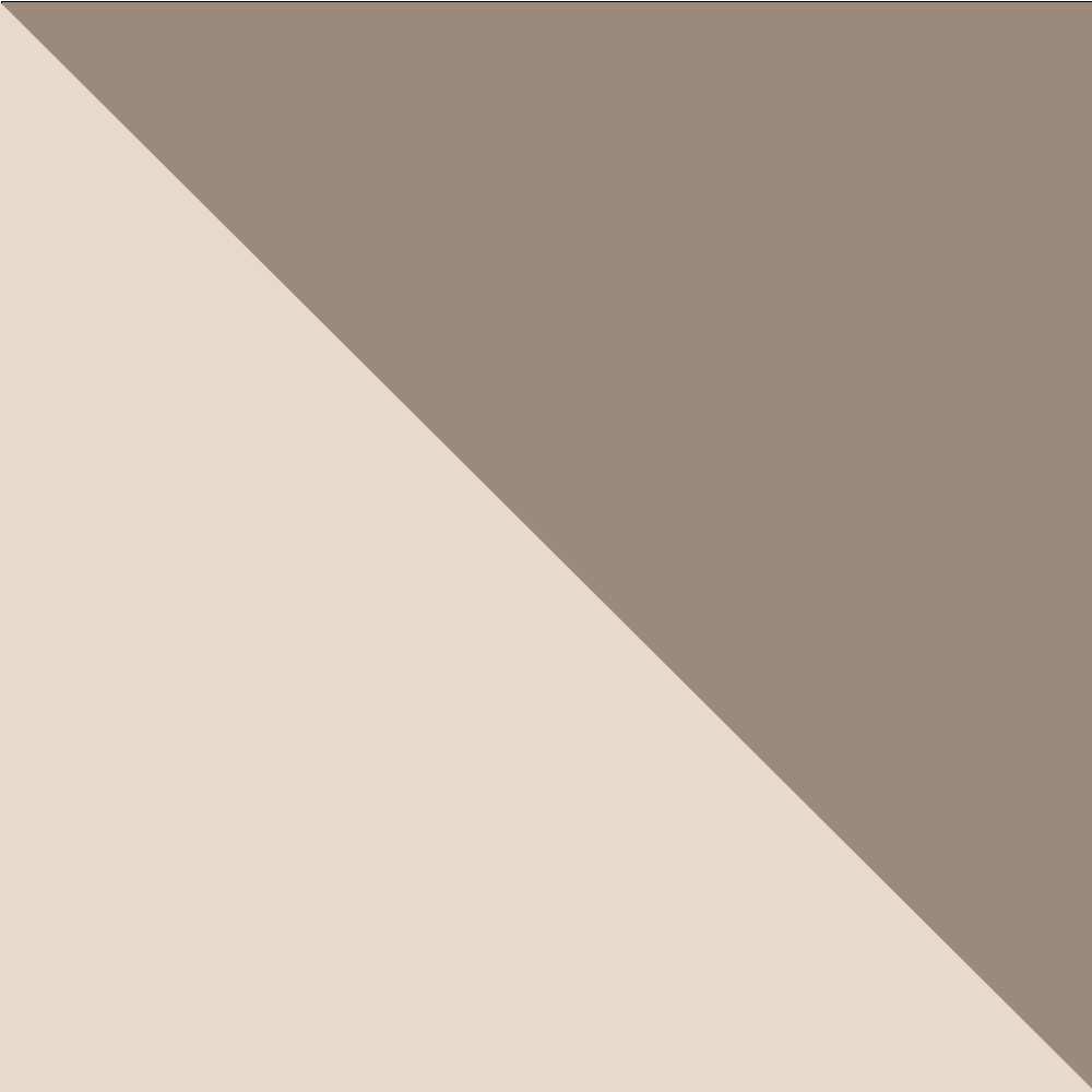 Exora Canvas Sneakers